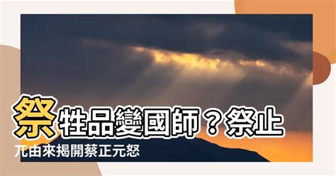 祭止兀由來|蔡正元直呼「不要叫我祭止兀」 網友：好啦祭止兀 